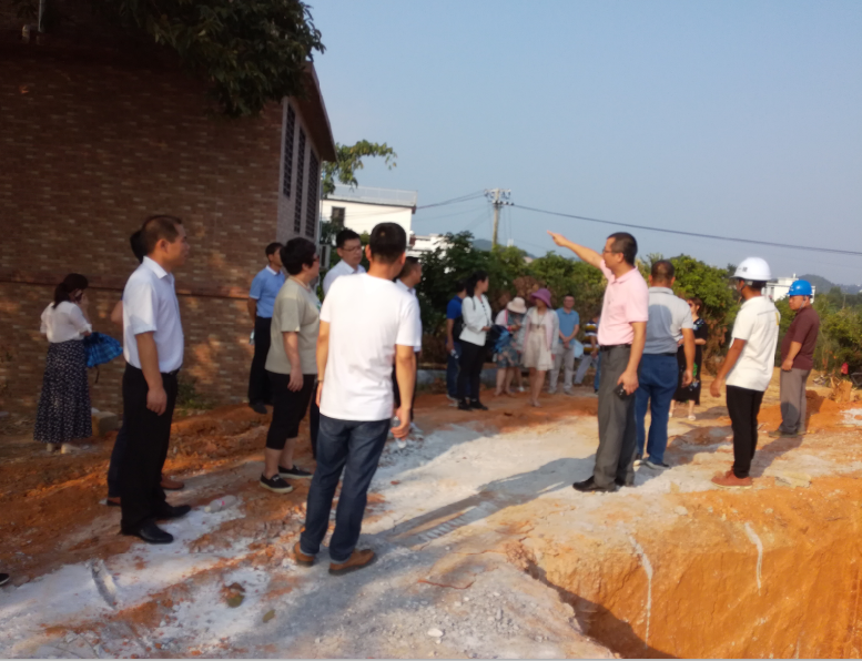 市级党代表金忠书记带队实地察看深水屯示范村屯项目建设情况