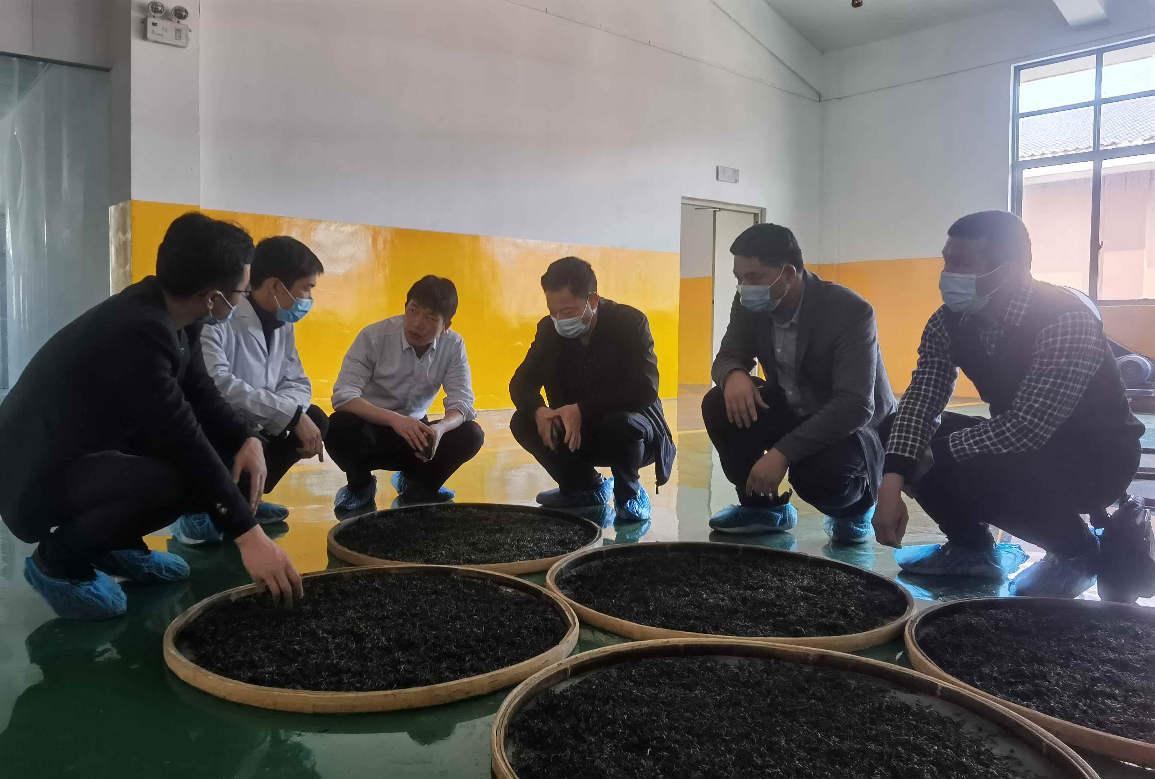 科技特派团到三江县三江春公司调研,了解茶业生产情况。三江县委组织部供图.jpg