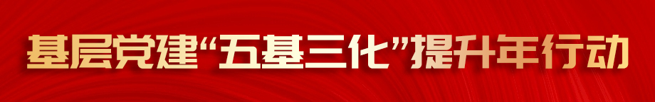 基层党建“五基三化”提升年行动