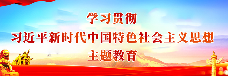 学习贯彻习近平新时代中国特色社会主义思想主题教育